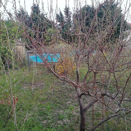Apartmán Camomilla Ravenna Exteriér fotografie