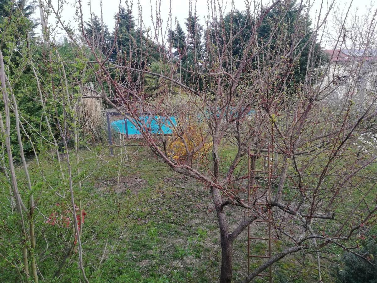 Apartmán Camomilla Ravenna Exteriér fotografie